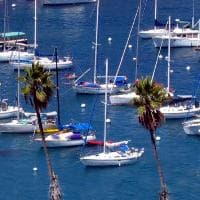 Club boat moored at anchor